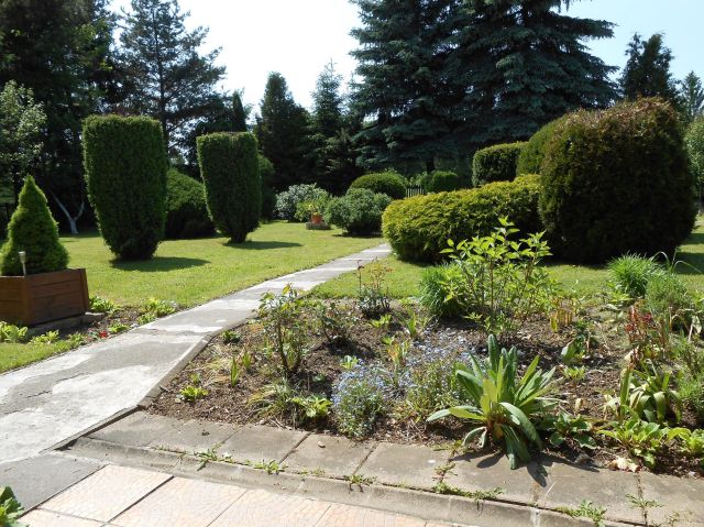 dom wolnostojący, 5 pokoi Kamienna Góra, obrzeża miasta. Zdjęcie 3