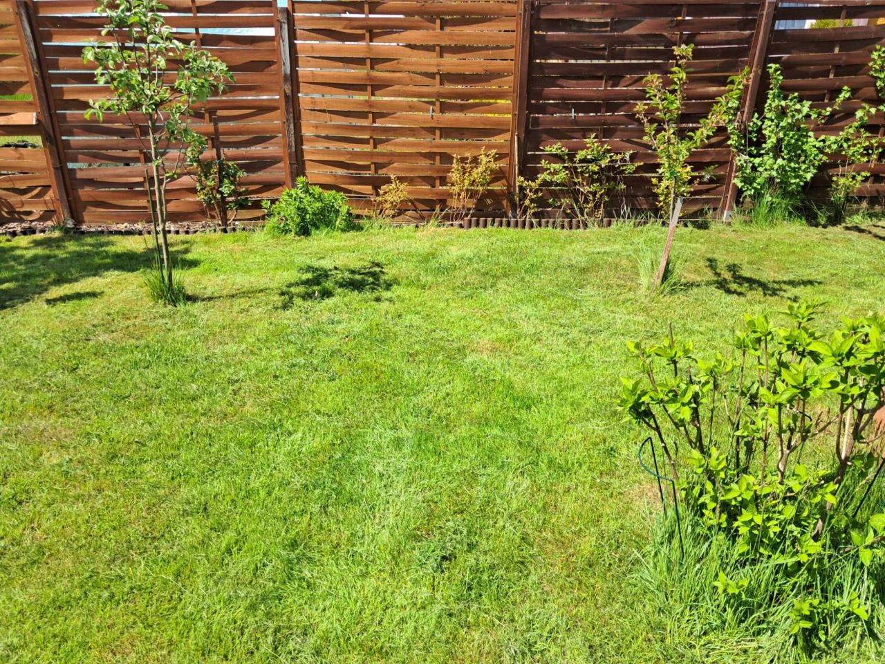 Działka rod Szczecin Krzekowo. Zdjęcie 3