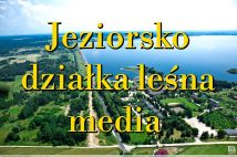 Działka rekreacyjna Skęczniew. Zdjęcie 1