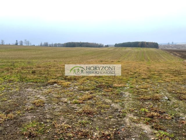 Działka rolna Borcz. Zdjęcie 1