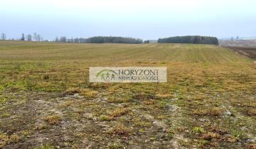 Działka rolna Borcz