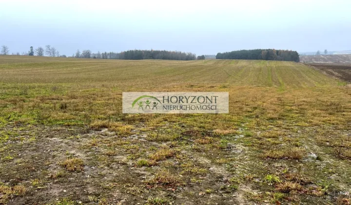 Działka rolna Borcz