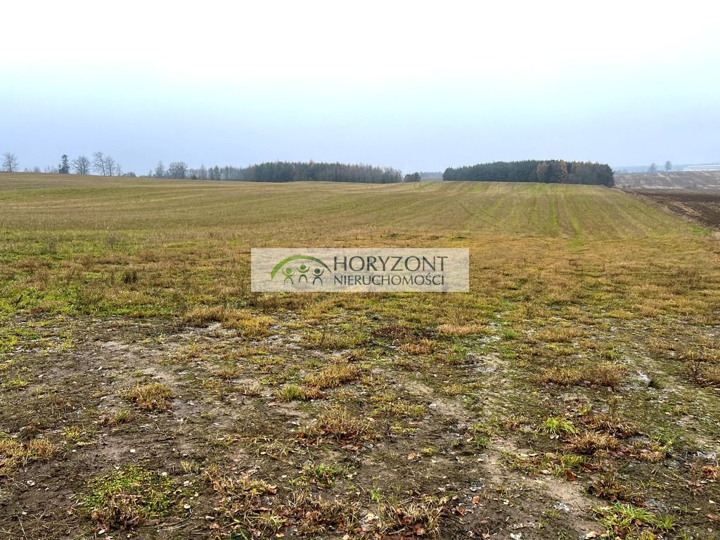 Działka rolna Borcz