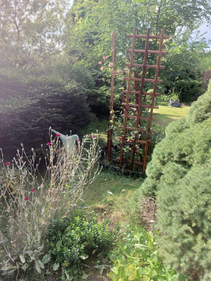 Działka rod Grójec, ul. Graniczna. Zdjęcie 2