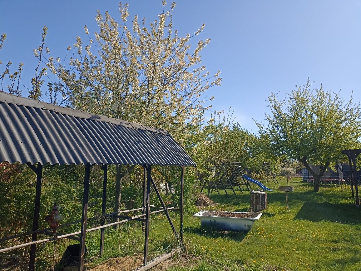 Działka rod Lubin. Zdjęcie 8