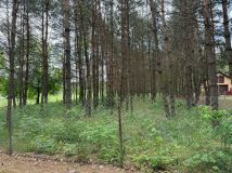 Działka rekreacyjna Mogielnica. Zdjęcie 1