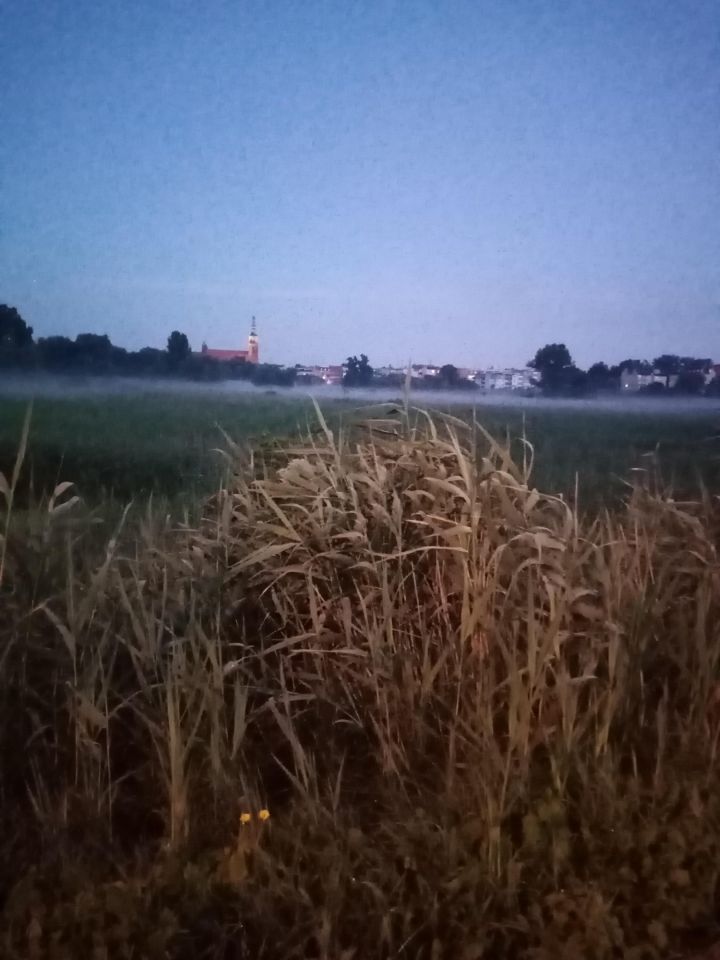 Mieszkanie 5-pokojowe Wąbrzeźno. Zdjęcie 2