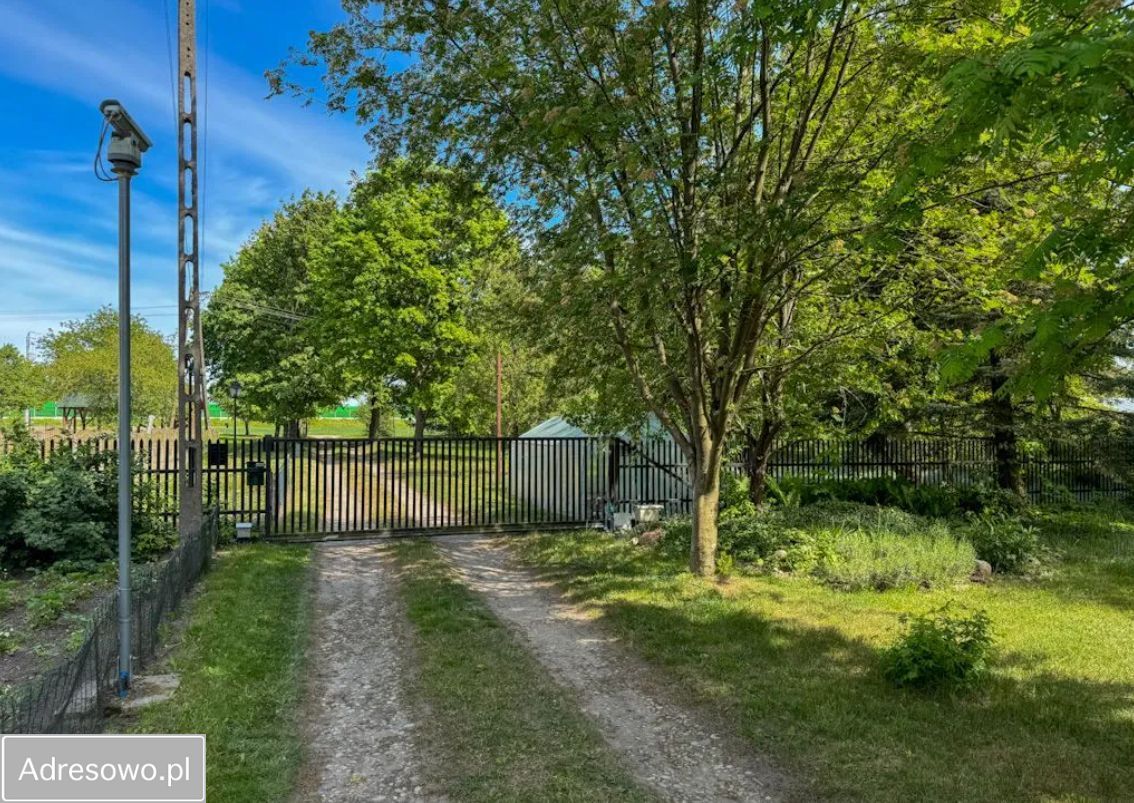 Hala/magazyn Dąbrówka-Wyłazy. Zdjęcie 7