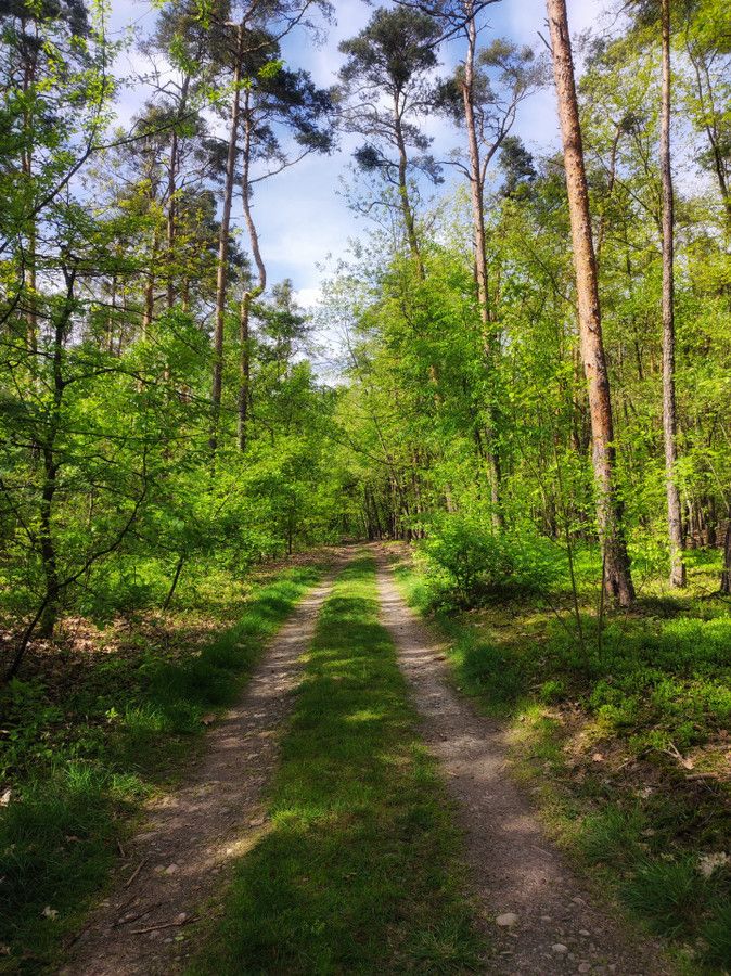 dom wolnostojący, 6 pokoi Łętowice. Zdjęcie 3