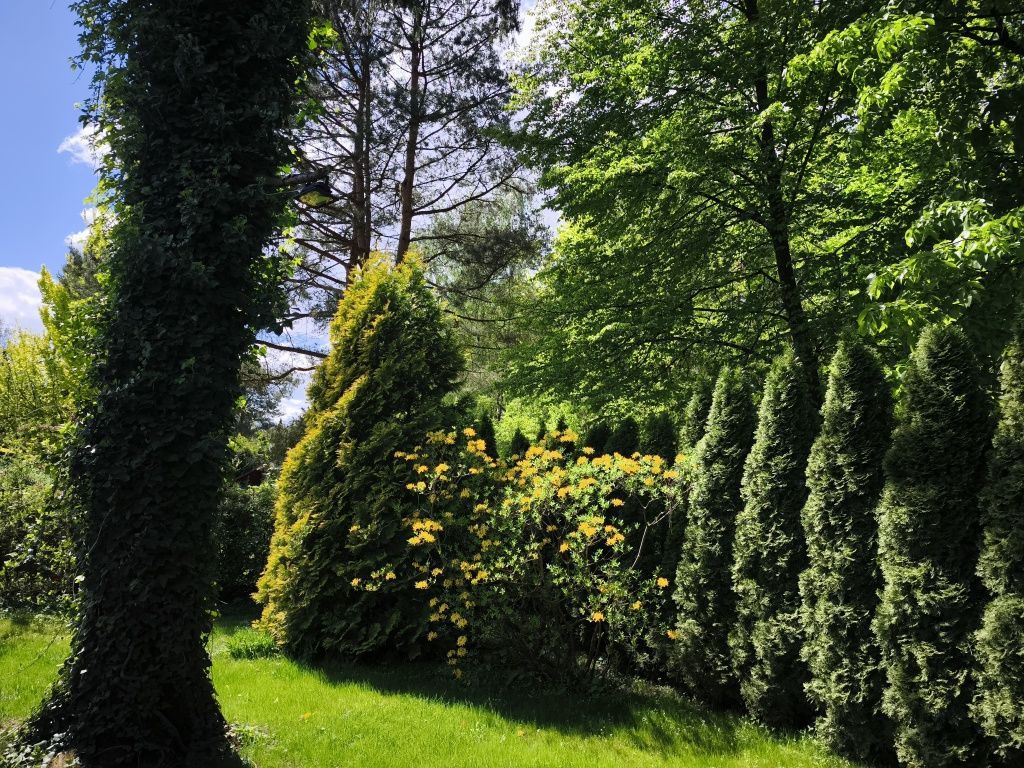 Działka rod Warszawa Białołęka Dworska, ul. Cieślewskich. Zdjęcie 5