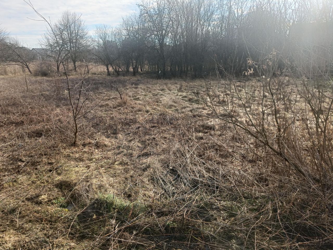 Działka budowlana Sieraków, ul. Henryka Sienkiewicza. Zdjęcie 8