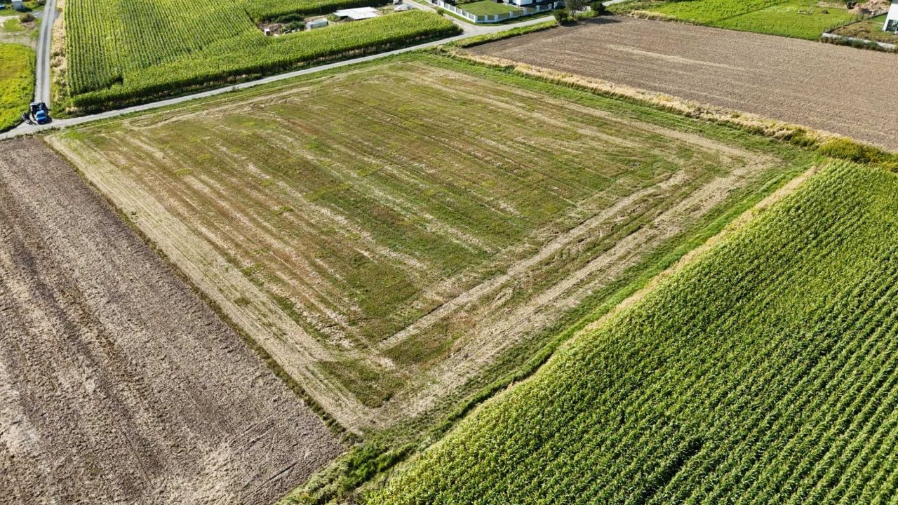 Działka budowlana Mników. Zdjęcie 4