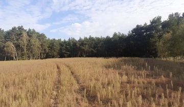 Działka budowlana Zosinki