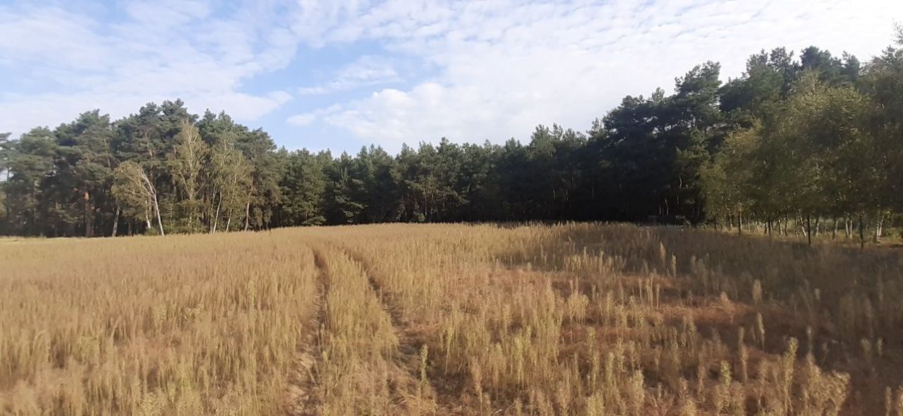 Działka budowlana Zosinki