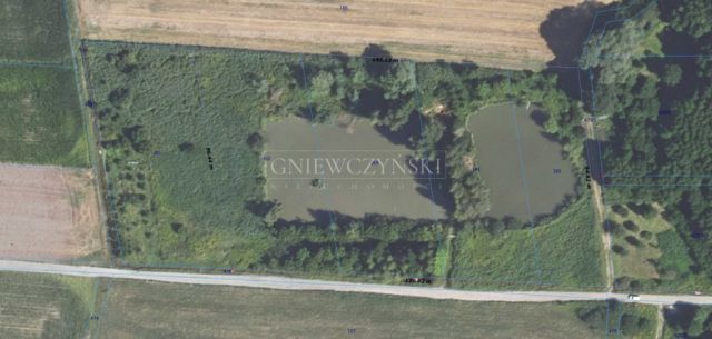 Działka rekreacyjna Pęgów, ul. Jana Klicha. Zdjęcie 7