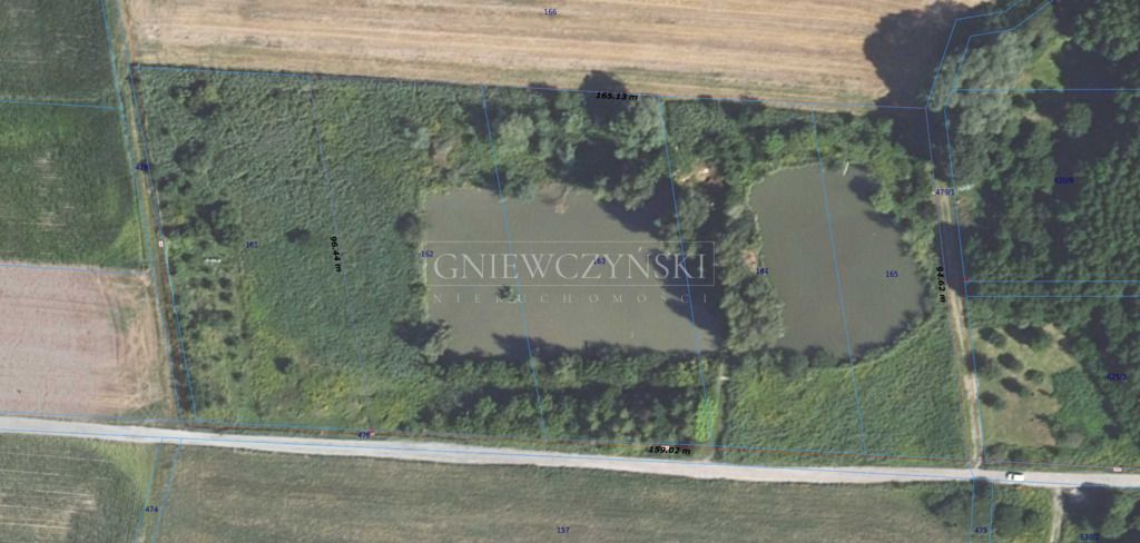 Działka rekreacyjna Pęgów, ul. Jana Klicha. Zdjęcie 7