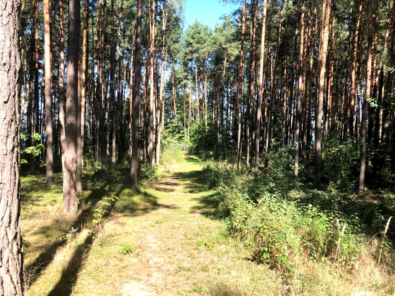 dom letniskowy, 1 pokój Korytnica Kolanka. Zdjęcie 6