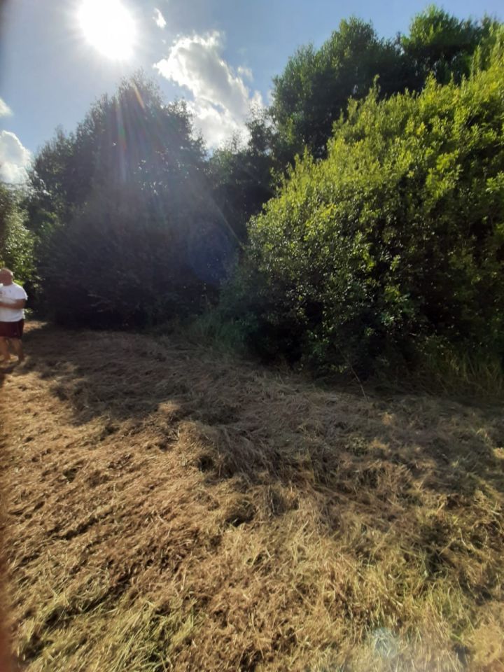 Działka rolna Michałów. Zdjęcie 11