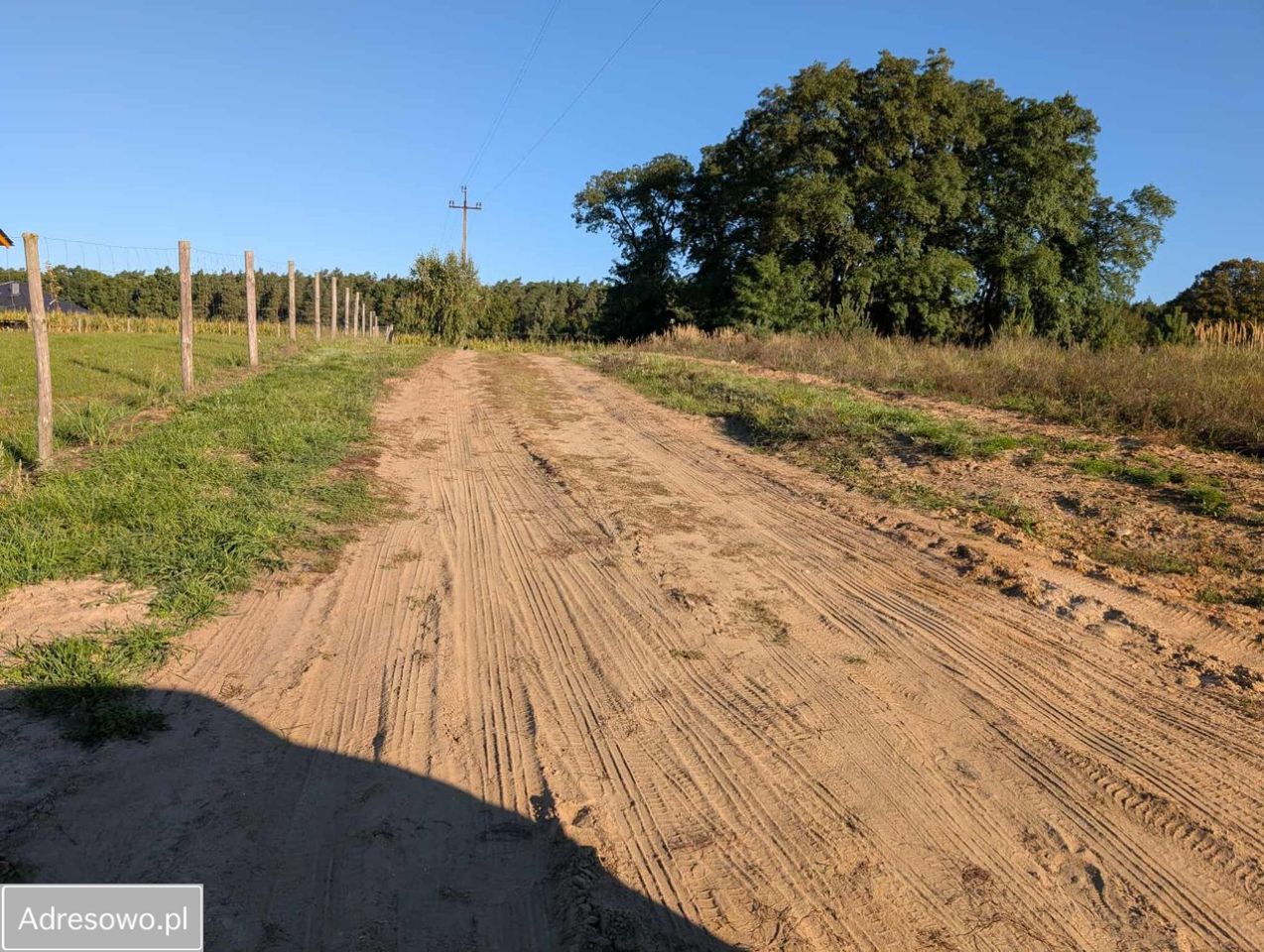 Działka budowlana Serock, ul. Leśna. Zdjęcie 9