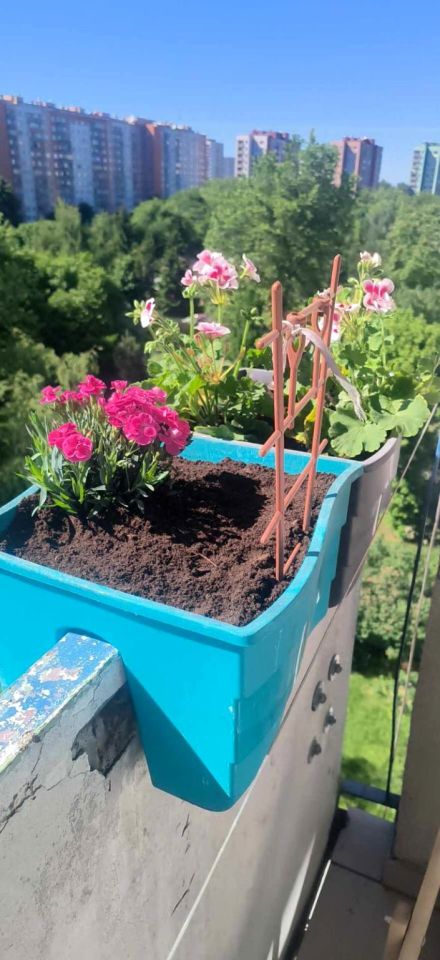 Mieszkanie 3-pokojowe Warszawa Chomiczówka, ul. Josepha Conrada. Zdjęcie 6