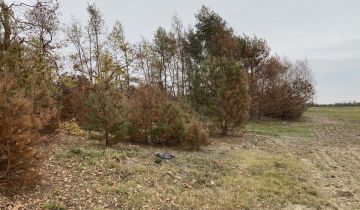 Działka rolno-budowlana Bizoręda