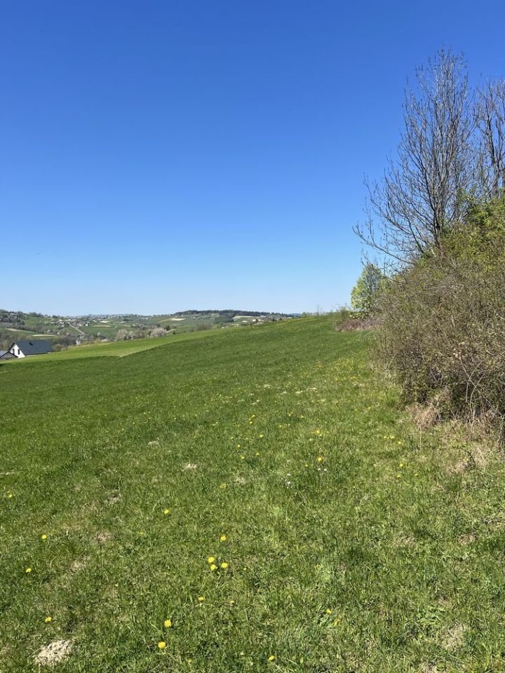 Działka budowlana Krużlowa Wyżna. Zdjęcie 4