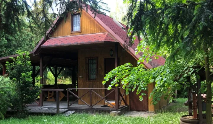 Działka rekreacyjna Czarków, ul. Wiejska