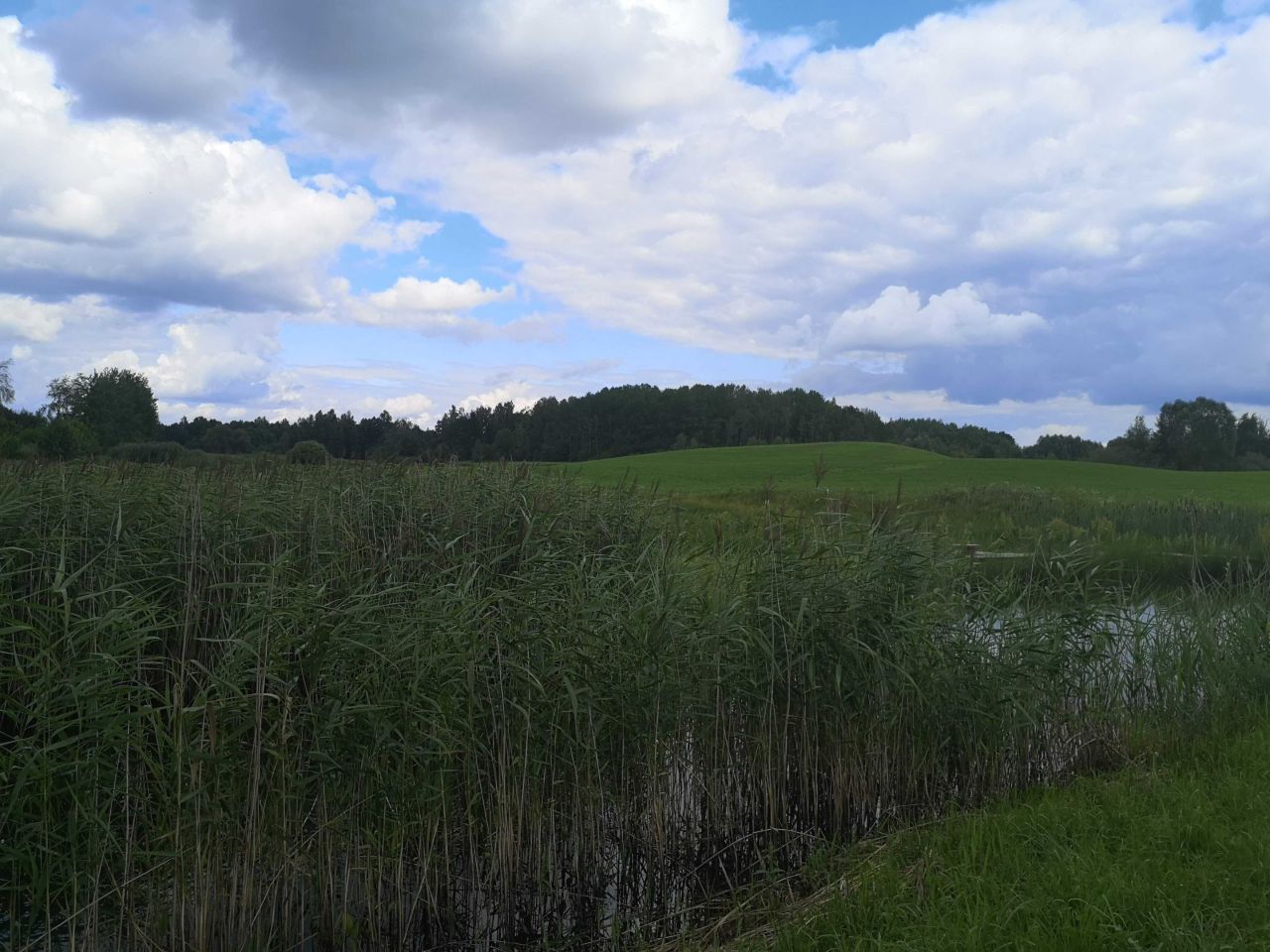 Działka rekreacyjna Dunajek. Zdjęcie 4