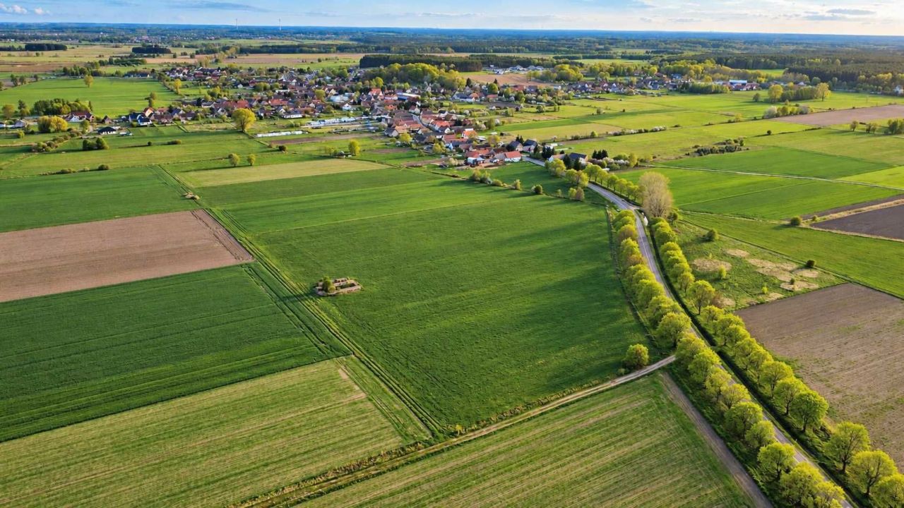 Działka rolna Górzyn. Zdjęcie 2