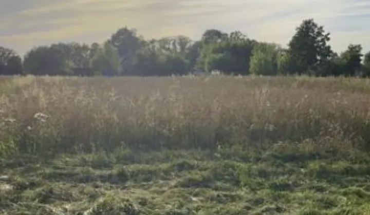 Działka rolna Strzemeszno