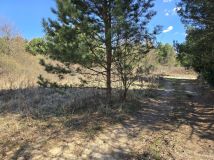 Działka budowlana Zwierzyniec, ul. Rudka. Zdjęcie 2