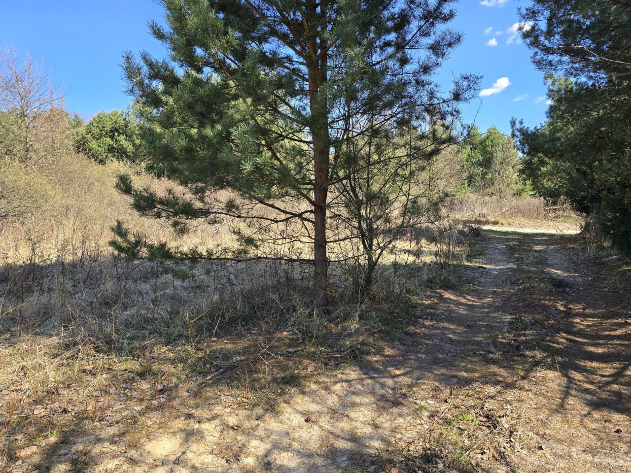 Działka budowlana Zwierzyniec, ul. Rudka. Zdjęcie 3