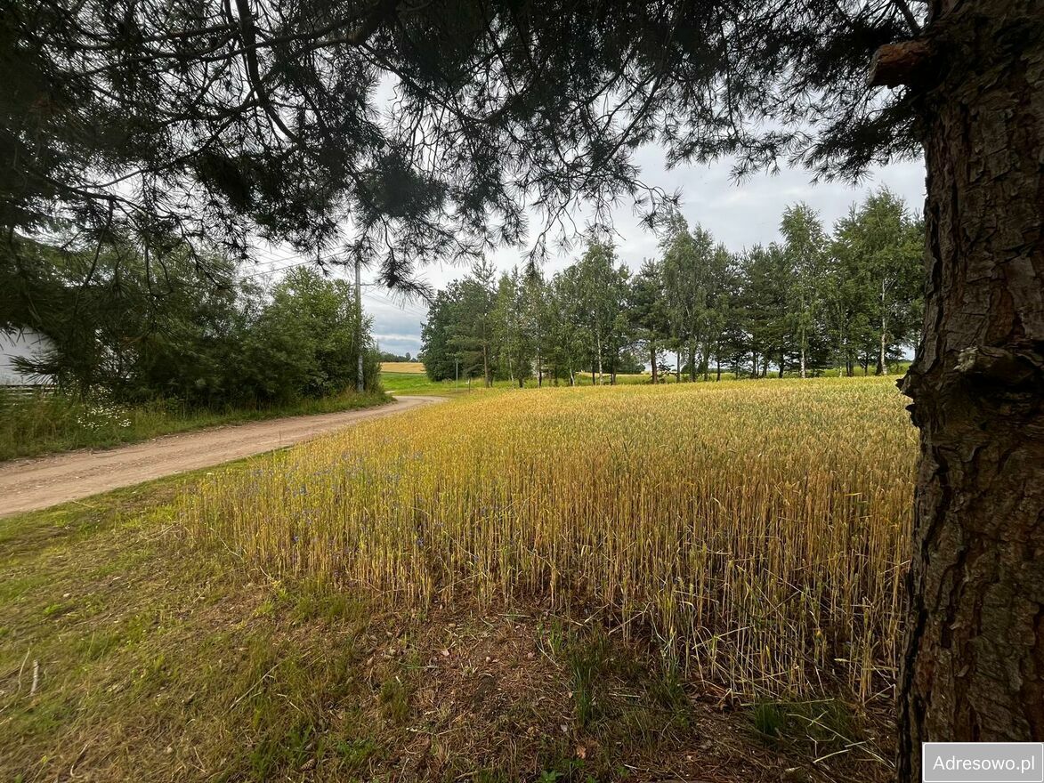 Działka rolna Wilkiejmy. Zdjęcie 5