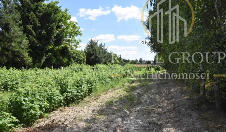 Działka budowlana Lubartów