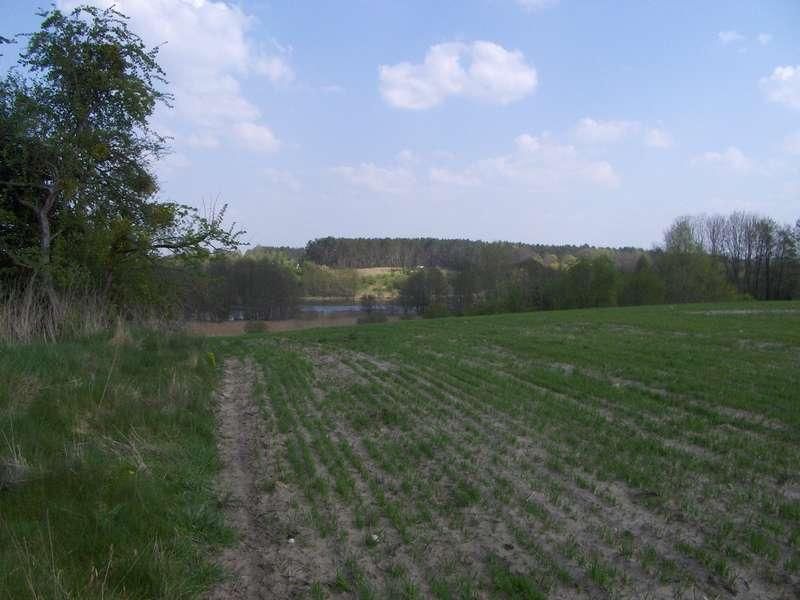 Działka budowlana Nienawiszcz. Zdjęcie 4