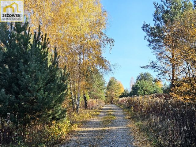 Działka budowlana Kolonia Góra Puławska. Zdjęcie 10