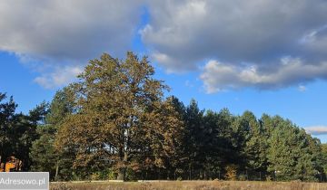 Działka budowlana Bechcice-Wieś