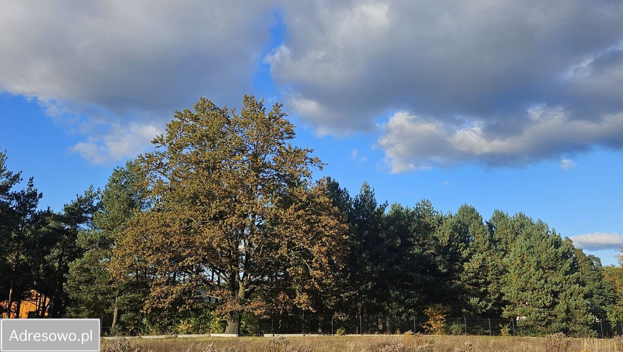 Działka budowlana Bechcice-Wieś. Zdjęcie 2