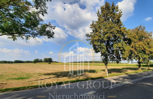 Działka rolna Rudno. Zdjęcie 1