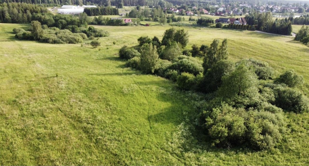 Działka rolna Wipsowo