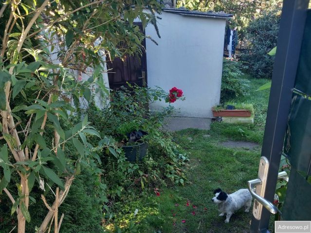 inny, 1 pokój Bielkówko. Zdjęcie 1