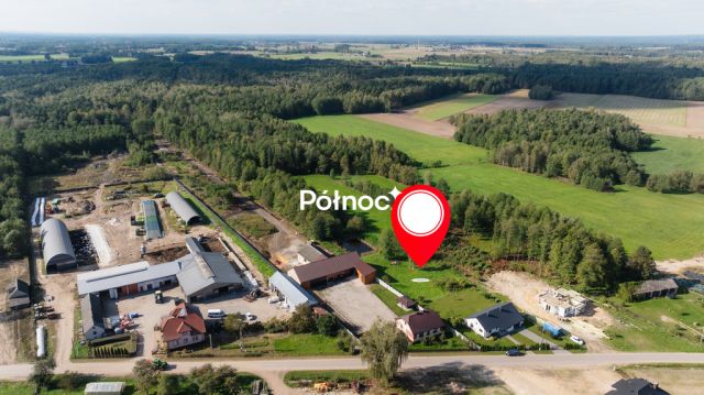 dom wolnostojący, 4 pokoje Sosnowiec. Zdjęcie 32