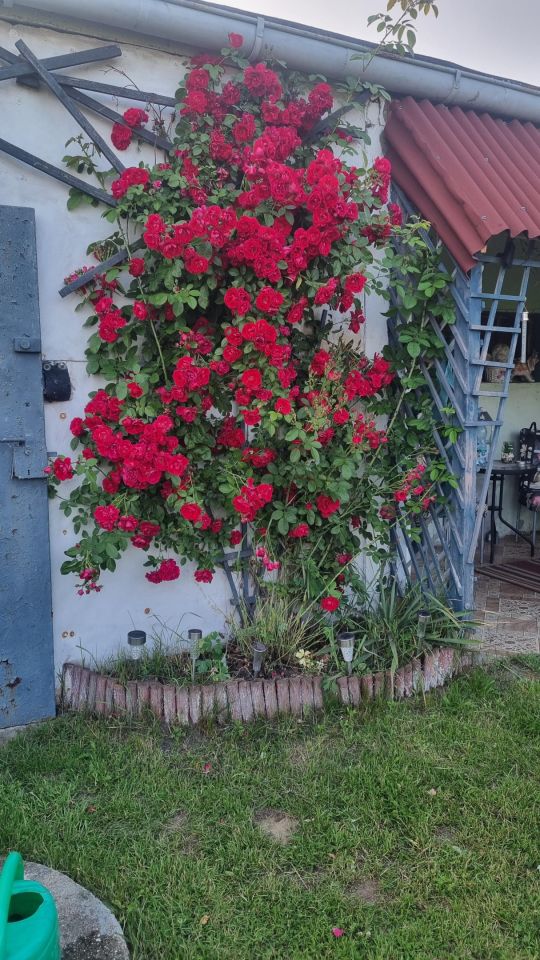 Mieszkanie 2-pokojowe Łężce, ul. Majątkowa. Zdjęcie 2