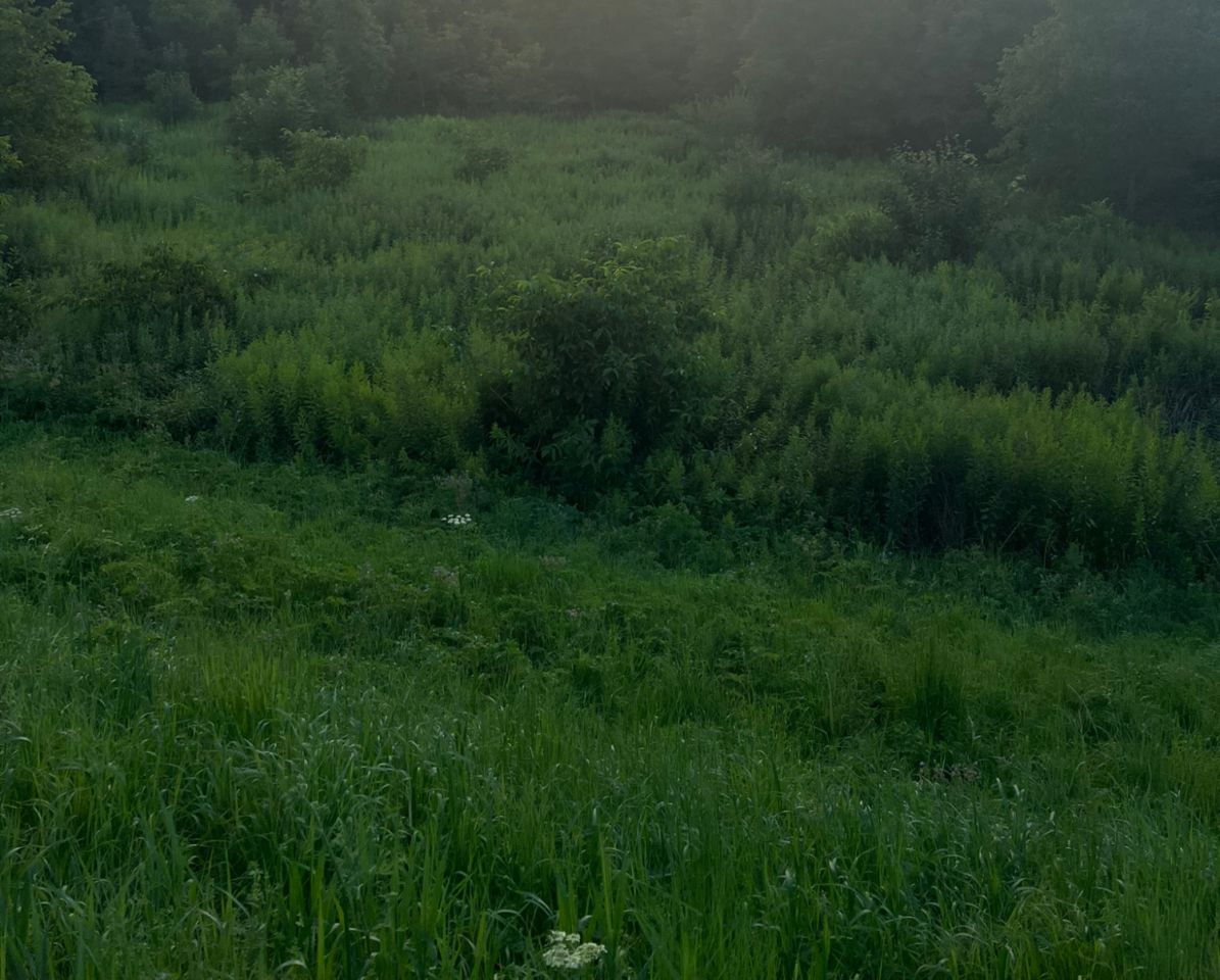 Działka rolna Kraków Nowa Huta, ul. Nadwodna. Zdjęcie 3