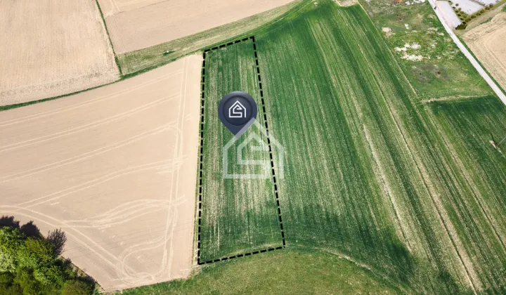 Działka rolna Siedlec