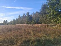 Działka rolno-budowlana Dębniak. Zdjęcie 2