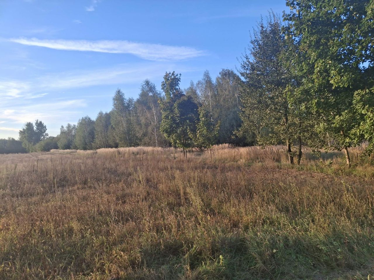 Działka rolno-budowlana Dębniak. Zdjęcie 3