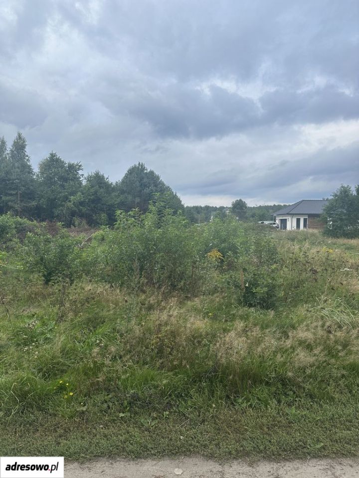 Działka budowlana Zielona Góra Ochla, ul. Ochla-Pustynna. Zdjęcie 5
