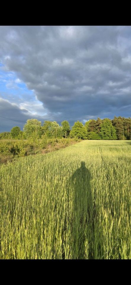 Działka rolno-budowlana Nowe Kęszyce. Zdjęcie 6