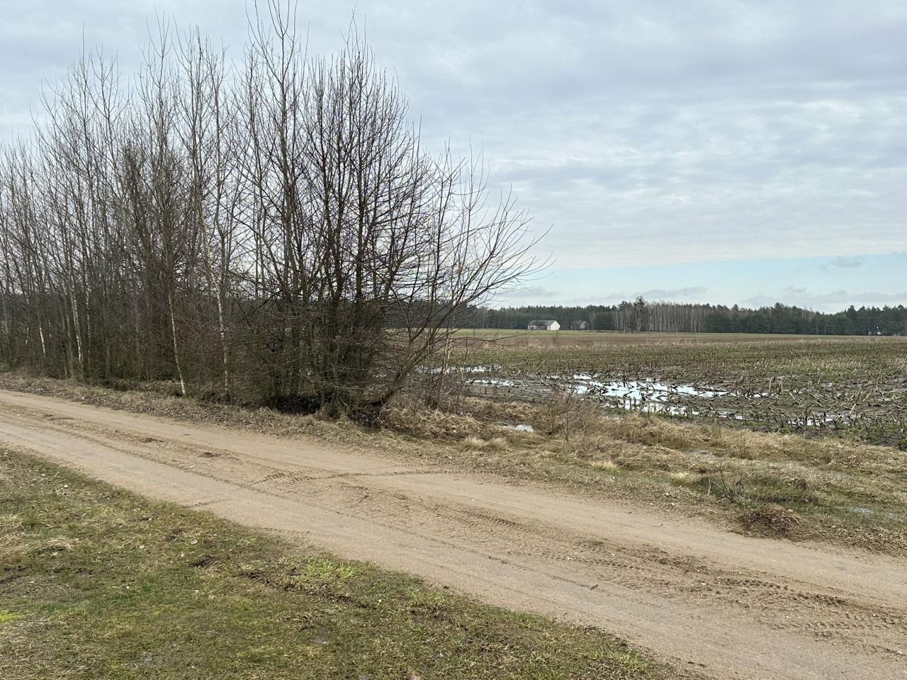 Działka budowlana Myszyniec Stary. Zdjęcie 3